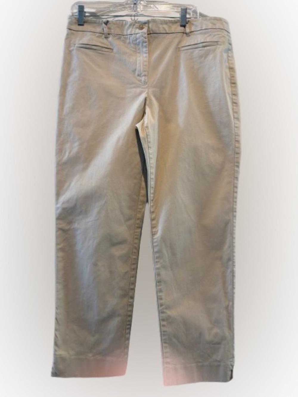 Ann Taylor Beige Straight-Leg Pants 14T